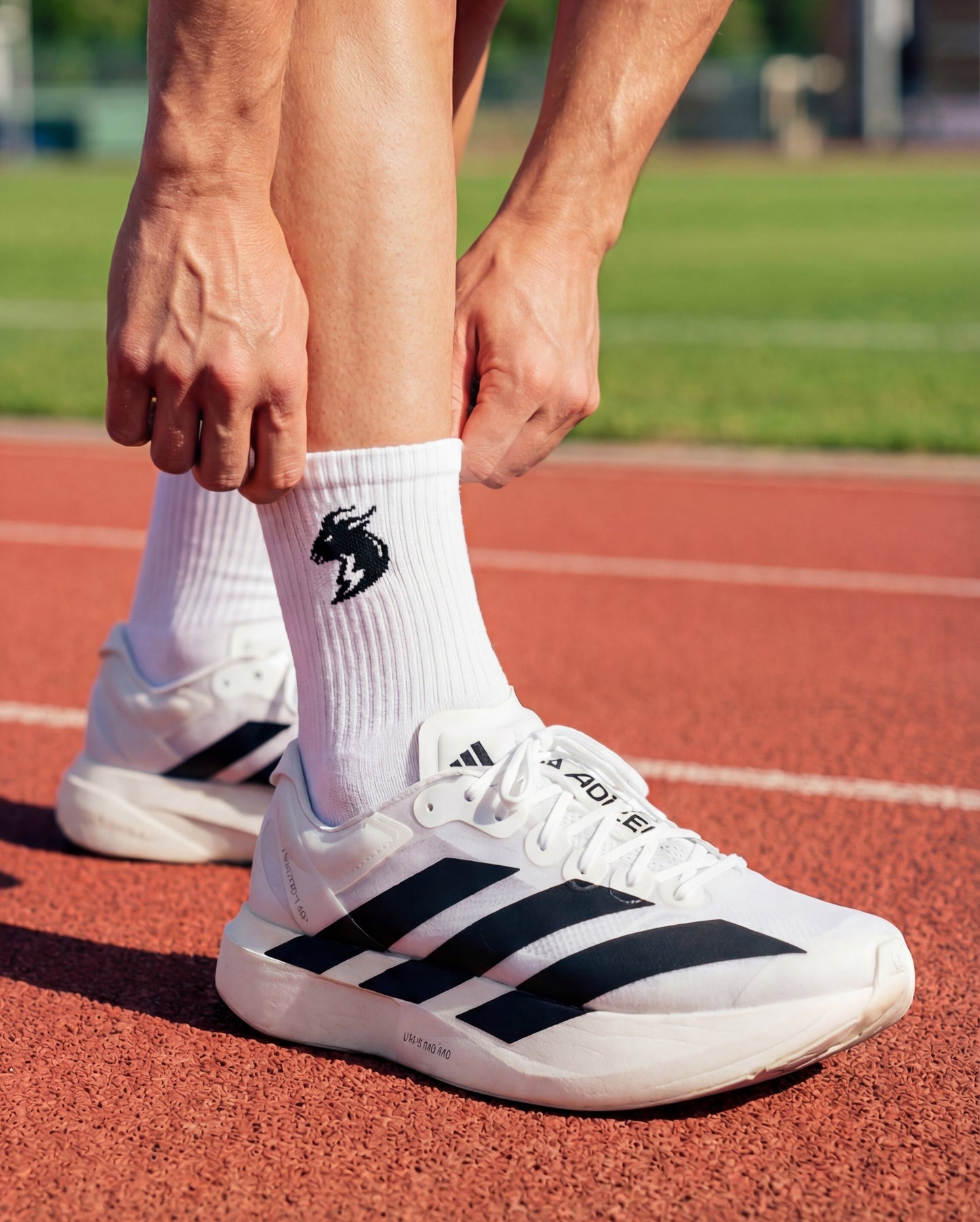 Crew Socks